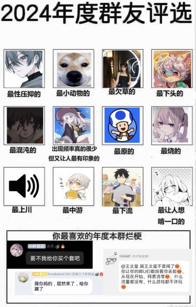 文件:2024年度群友评选.jpg